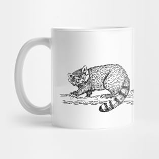 Racoon watching from upon high Mug